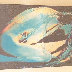 Karen Barone Artwork